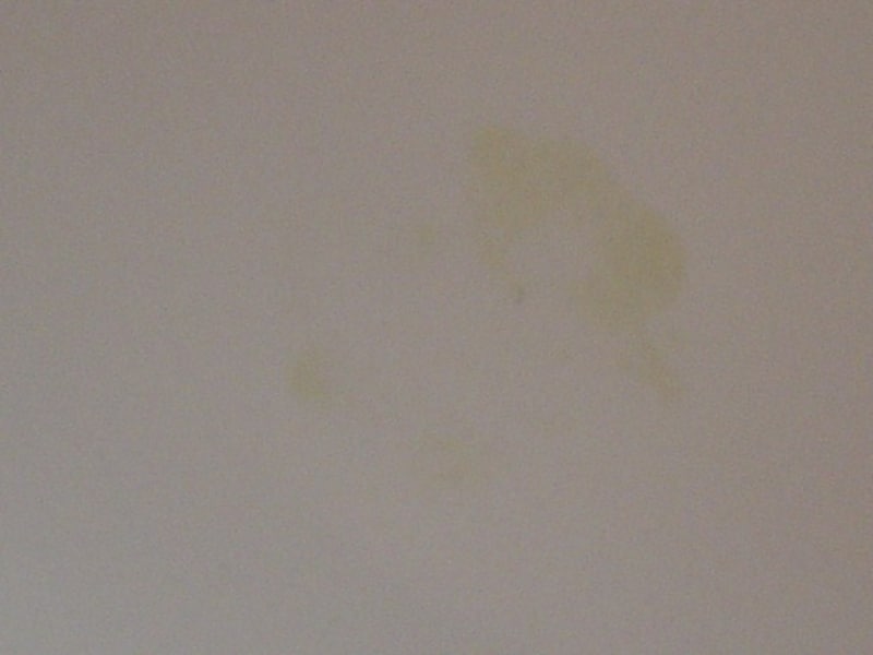 Saphir Noir Creme 1925を塗った裏面