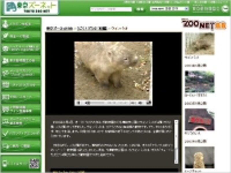 東京ずーネット どうぶつ図鑑