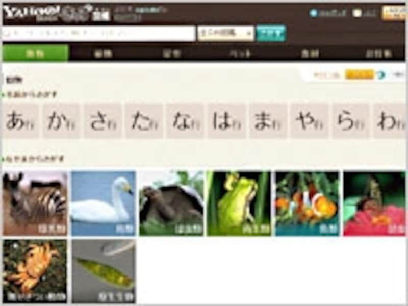 YAHOO!きっず図鑑 動物