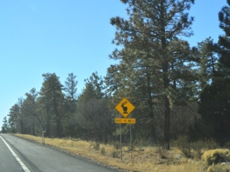 動物が多いエリアにはこんな看板がある