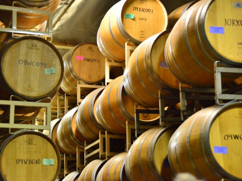 毎日行われているワイナリーツアー