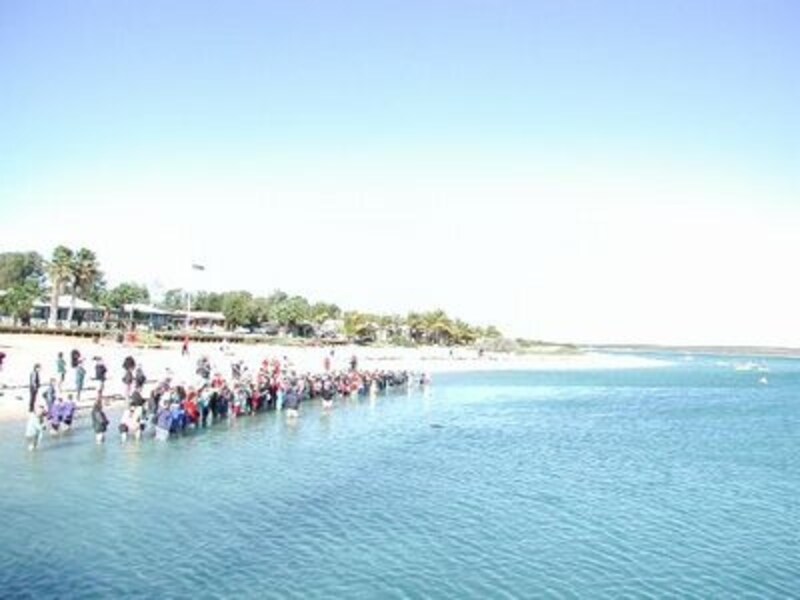 モンキーマイア