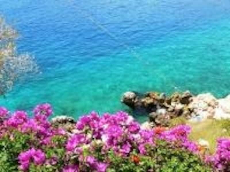 夏の地中海