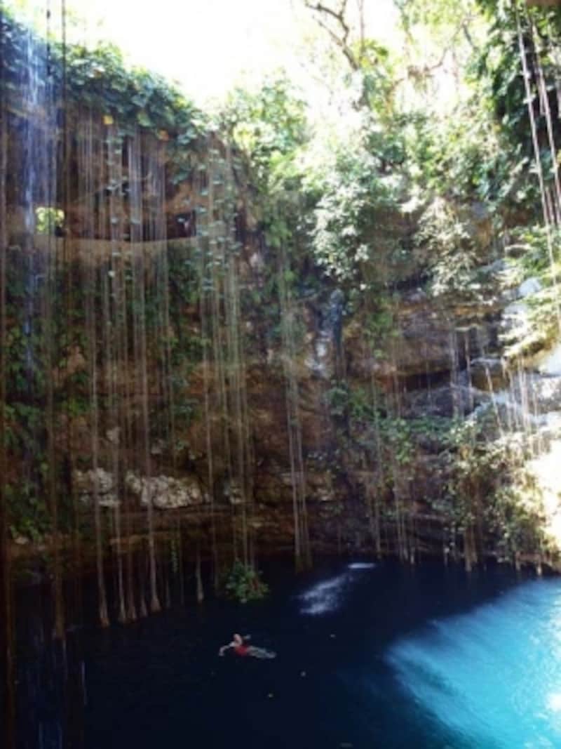 カンクンundefined周辺スポットundefinedセノーテ