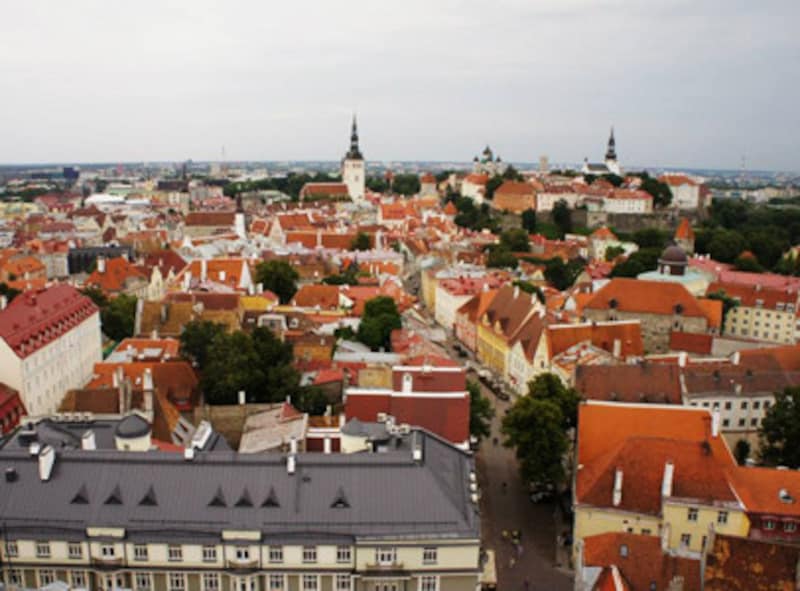 旧市街のどこからでもその長身の尖塔屋根を見つけることができるタリンのランドマーク