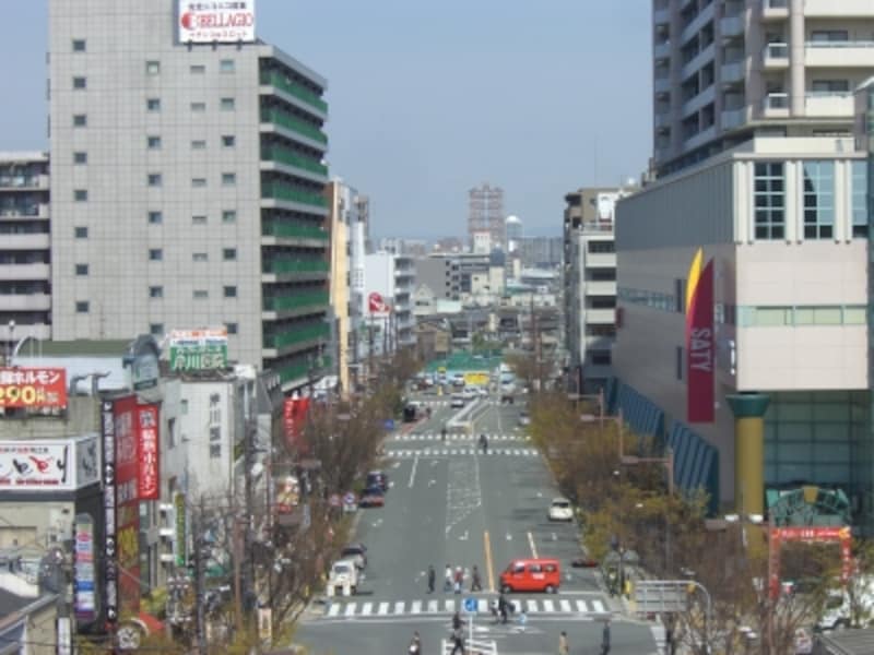 駅から見下ろすとこんな感じ。南側と比べるとさっぱりした様子。