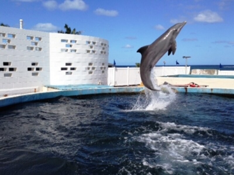 シーライフ・パーク・ハワイ