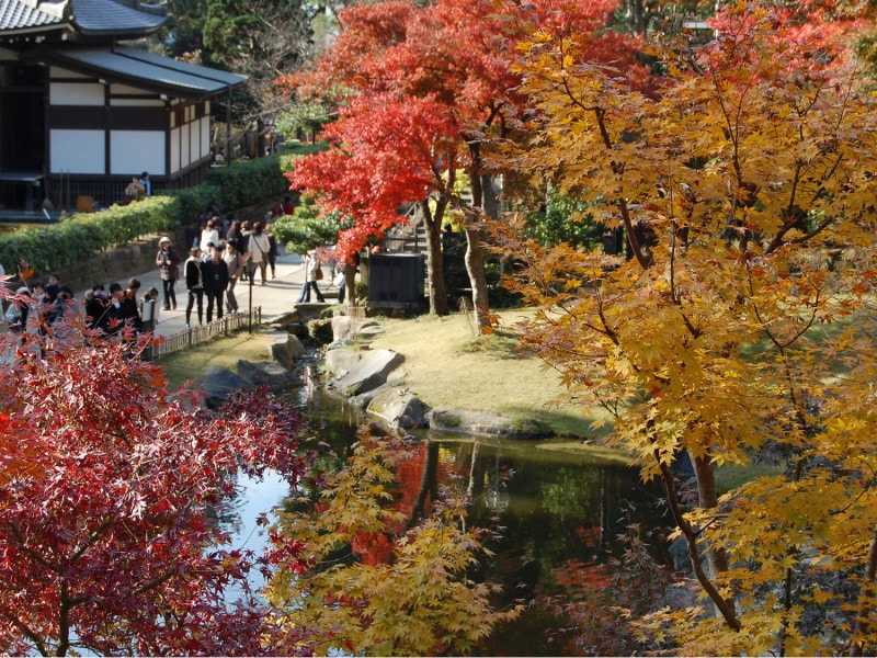 紅葉の季節の円覚寺境内
