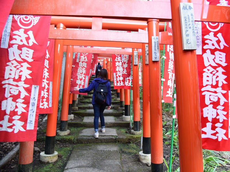 佐助稲荷神社参道の、延々と続く朱色の鳥居