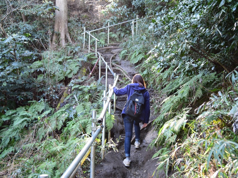 佐助稲荷神社境内からハイキングコースへと登る道は、やや険しいので注意が必要です！