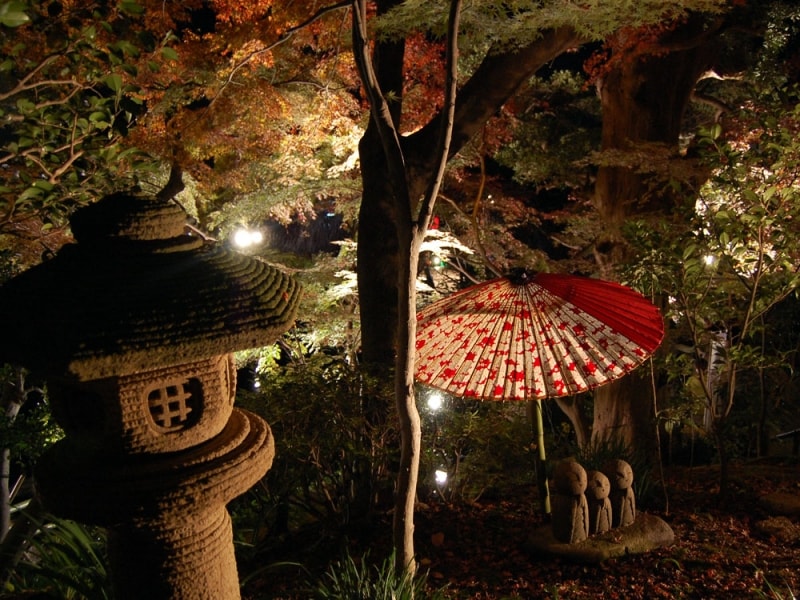 長谷寺の紅葉ライトアップ