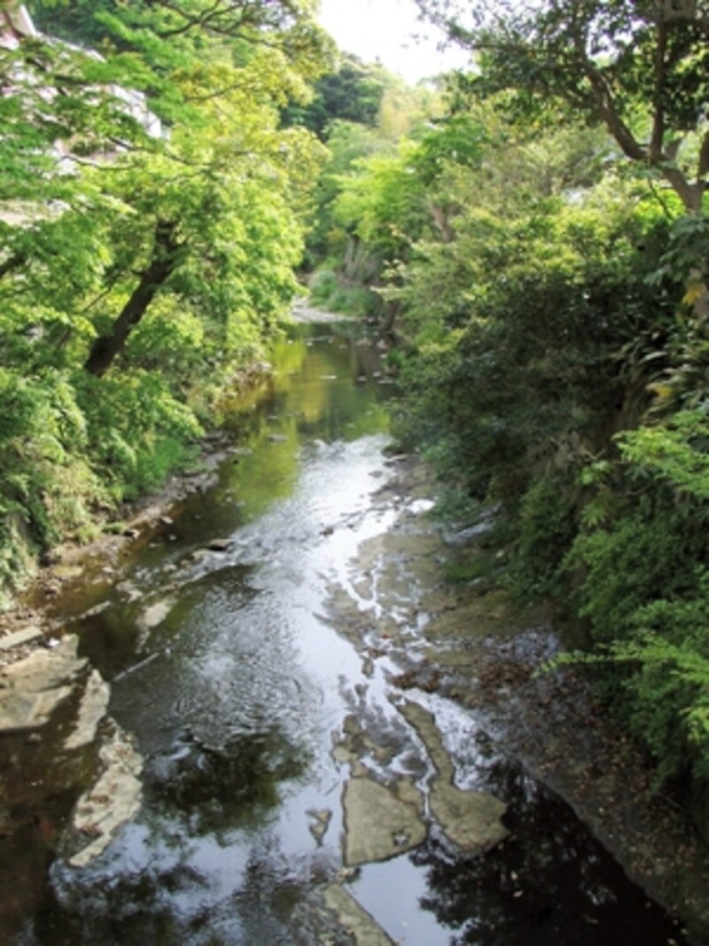 旧市内で一番長い滑川