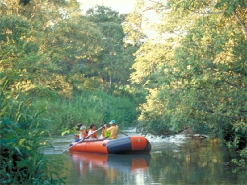 ボートに乗ってジャングルの中を進むのも、イグアスの自然に触れるコツundefined写真提供：アルゼンチン観光局