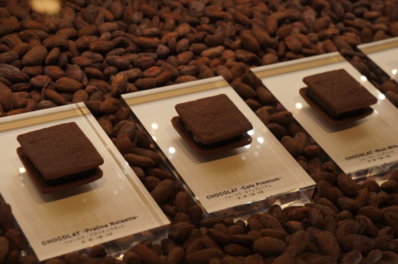 Chocolat(ショーコラ)