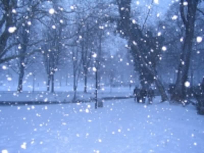 neige