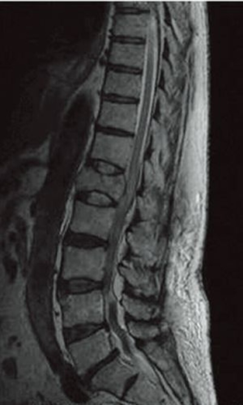 seikei1