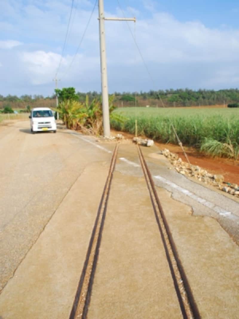 sugarcane railroad