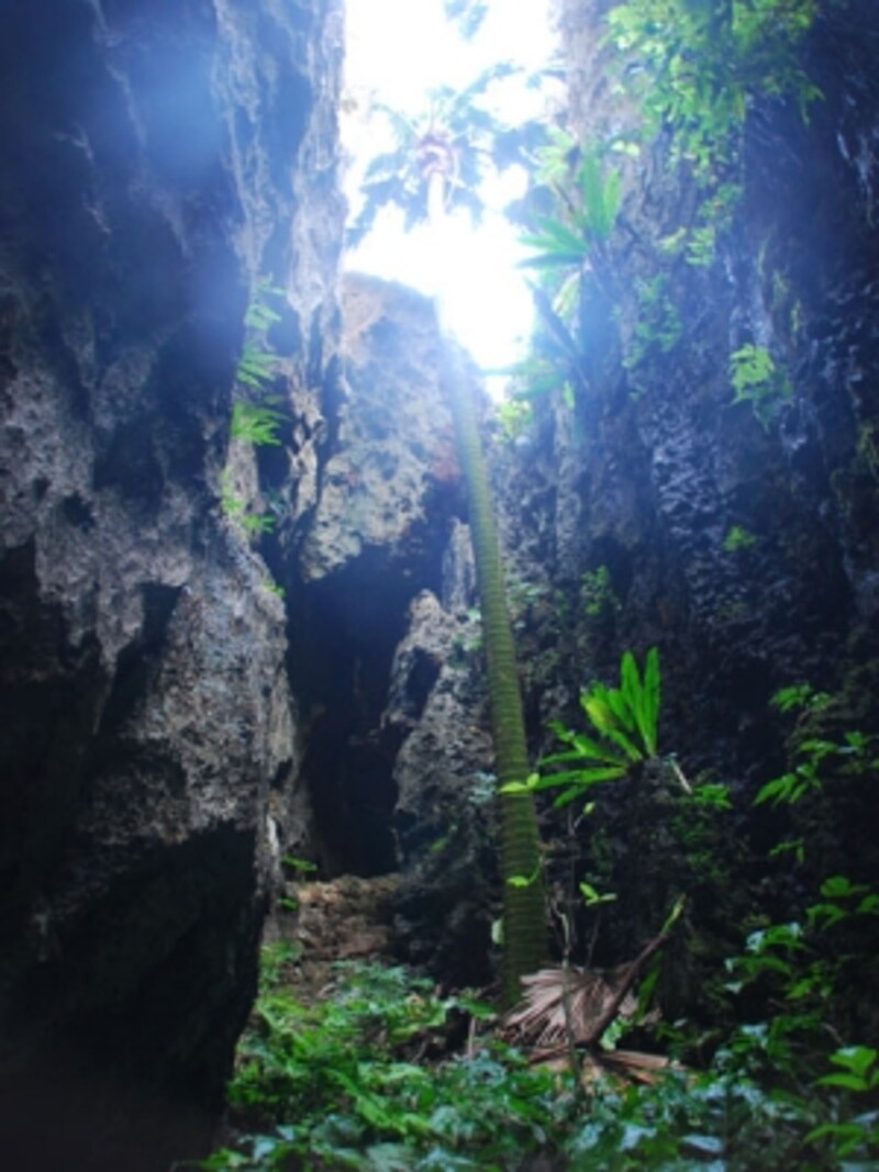 baribari
