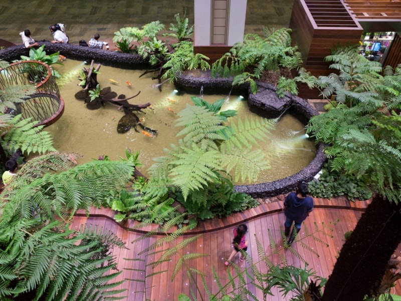 空港内に幾つかあるガーデンエリア。本物の植物を使っているからチープな感じがしない