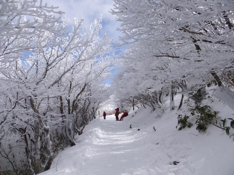御在所岳の樹氷(5)