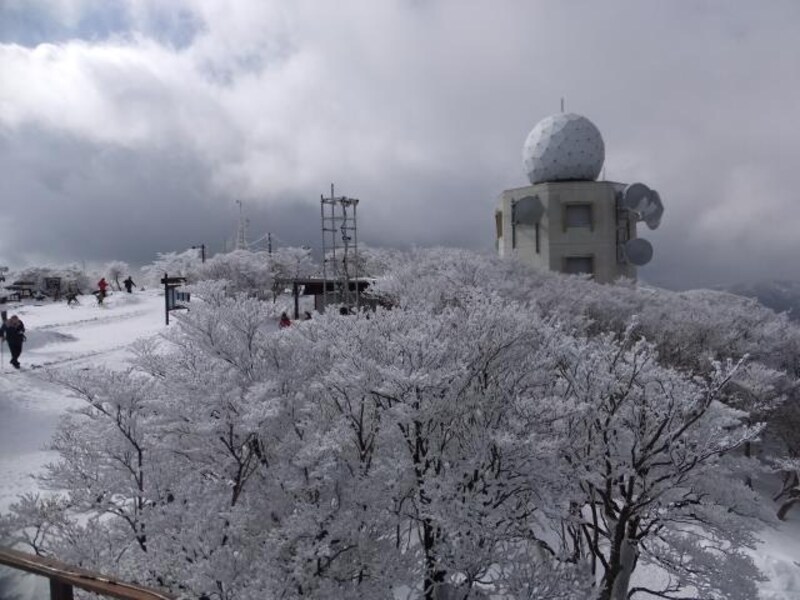 御在所岳の樹氷(6)