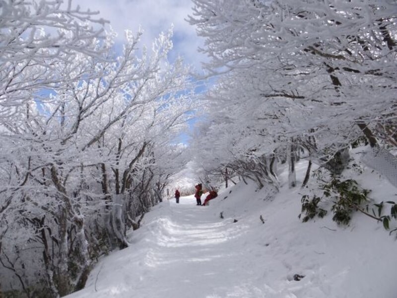 御在所岳の樹氷（5）