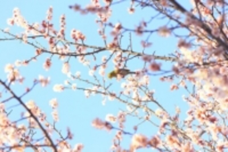 次に進む気持ちが呼んだ結末とは