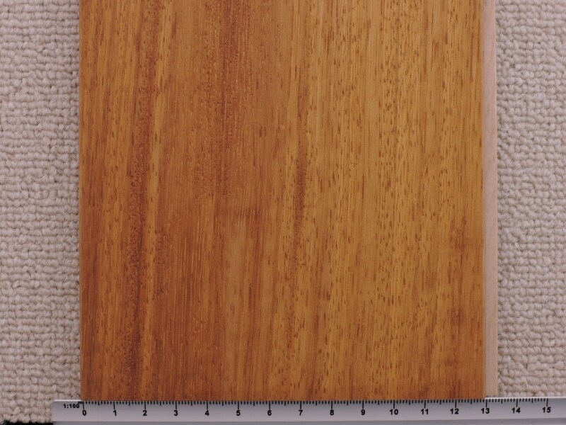 イロコundefinedアフリカンチークundefinedナイジェリアチーク