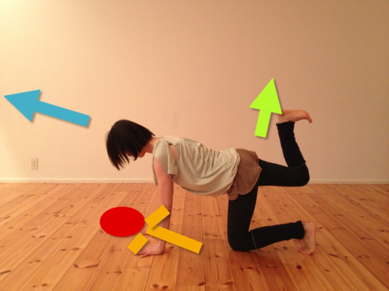 姿勢を崩さず脚を上げましょう