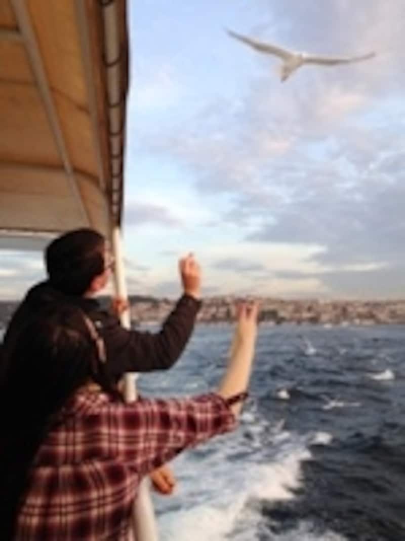 ボスポラス海峡カモメ