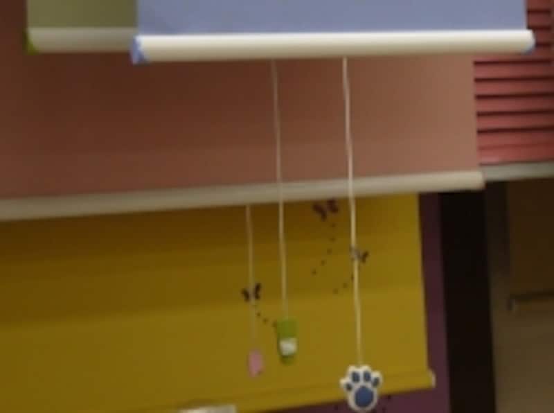 ロールスクリーン／プルコード