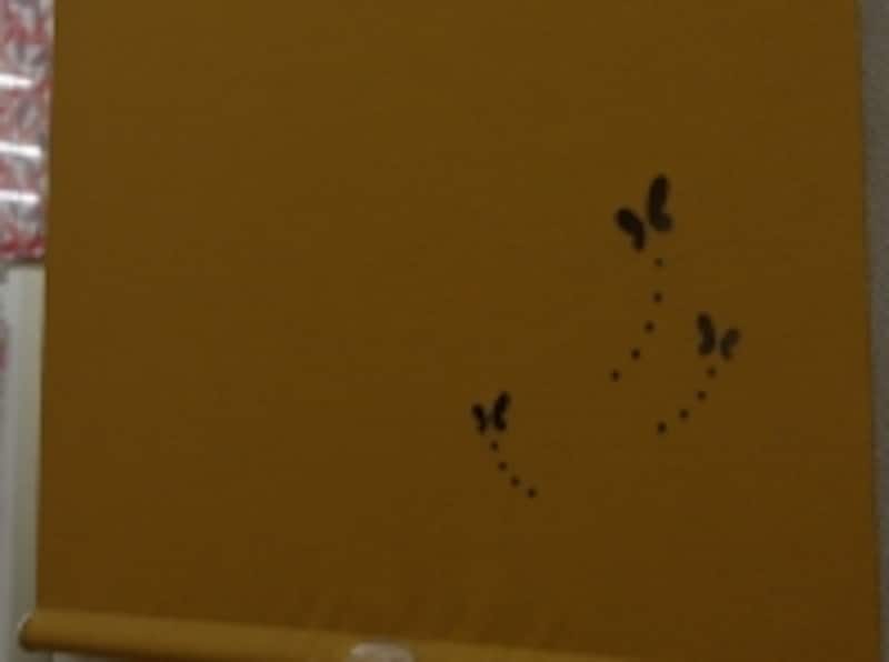 ロールスクリーン／ポイントカット