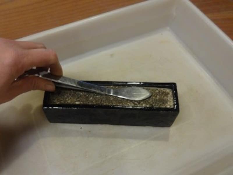 平らにならしましょう