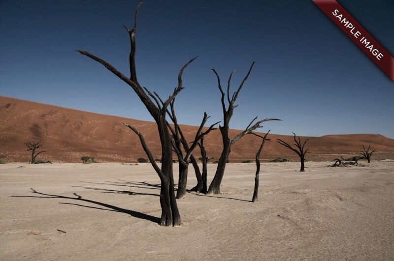 サンプル画像の「明るさ」「コントラスト」「彩度」を調整