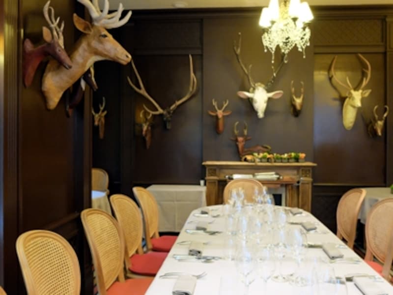 野生動物の剥製