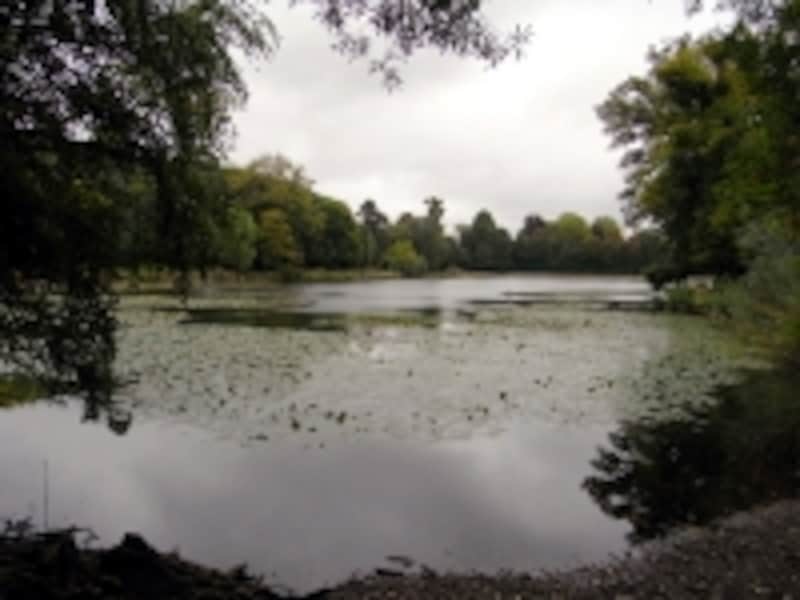 画家コローの別荘があったと言われるヴィルダヴレ湖の風景