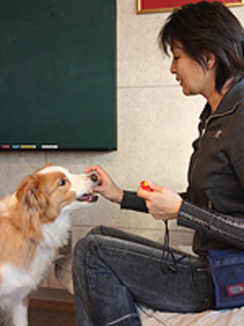 タイミングよくご褒美を