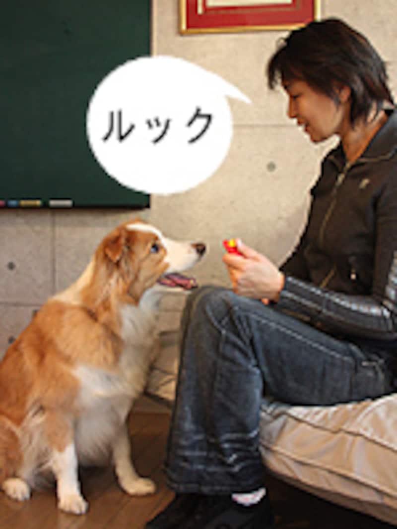 キューをつける