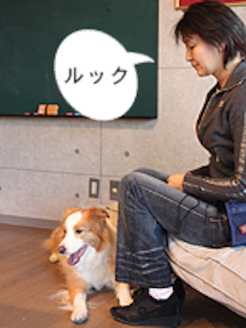 キューを出すタイミングを徐々に前倒しに