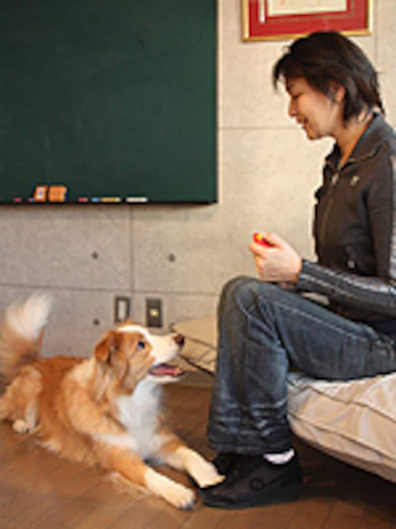 キューに反応して&ldquo;ルック&rdquo;