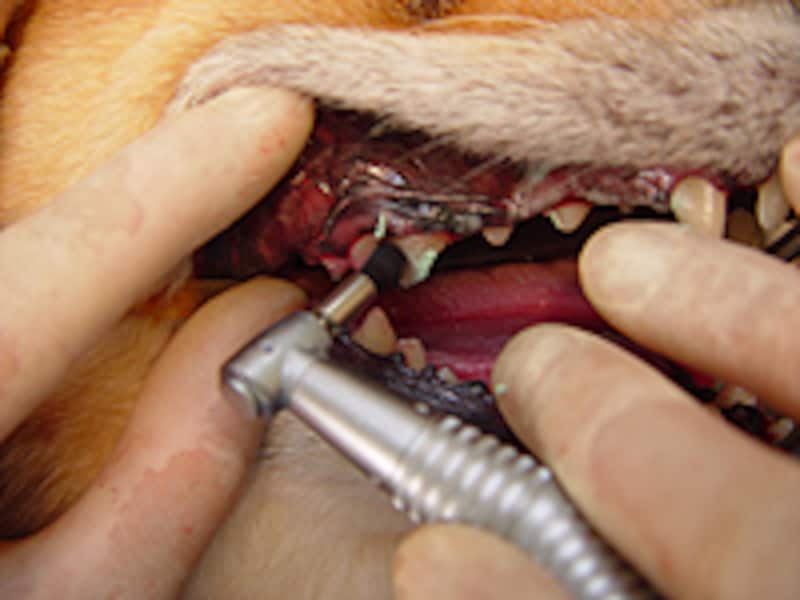 ポリッシングブラシによる研磨