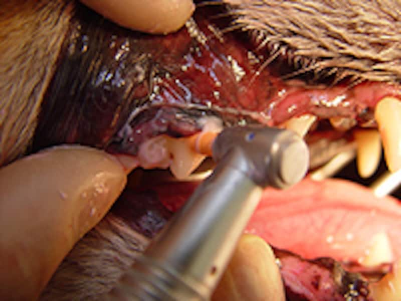 ラバーカップによる研磨