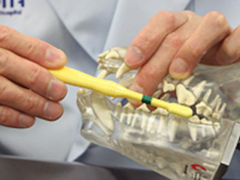 見えなかったところを磨く