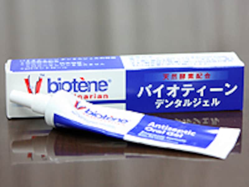  犬用歯磨きペースト