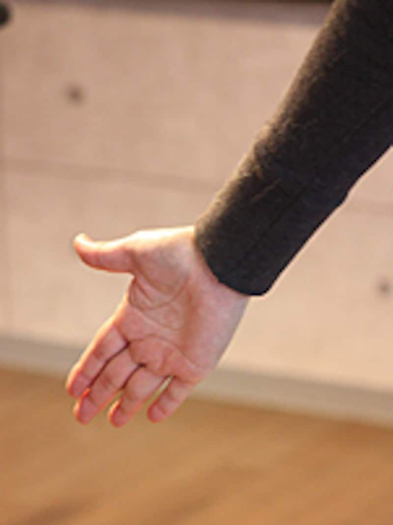 ターゲットとなる手