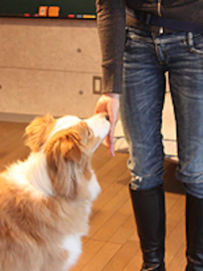 手の平にタッチ