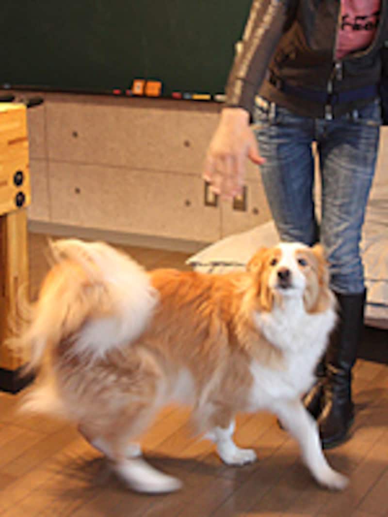 手の平をいろいろな位置に動かす