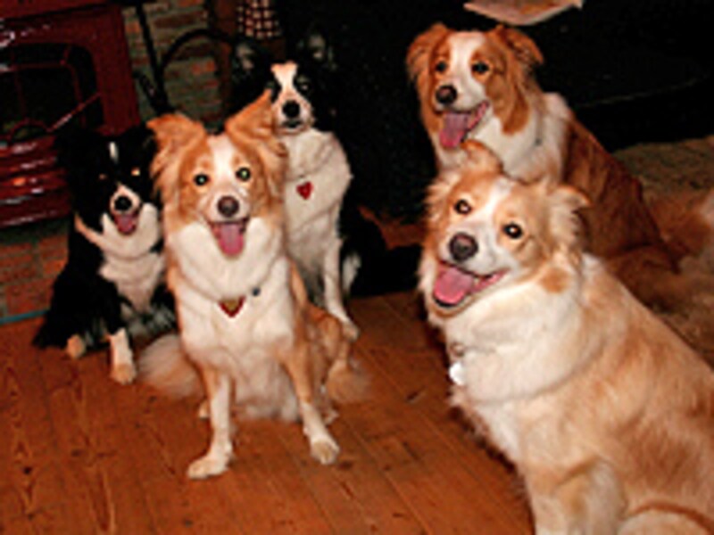 みんないい顔！