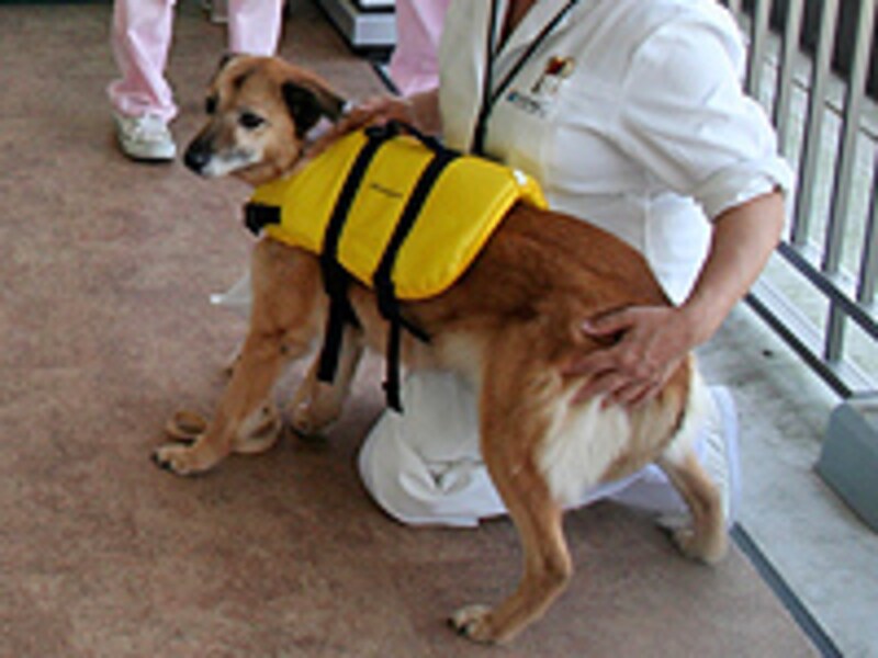 頭よ横にそむける