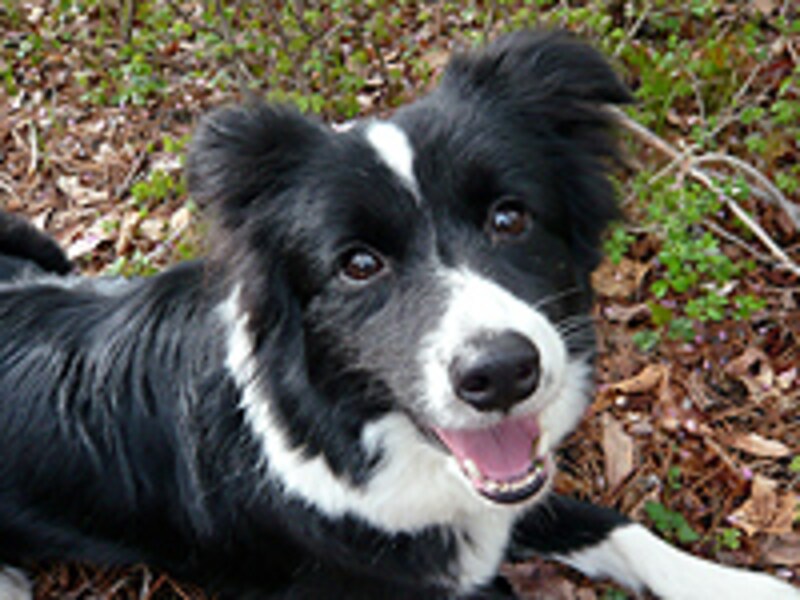 リラックスした状態